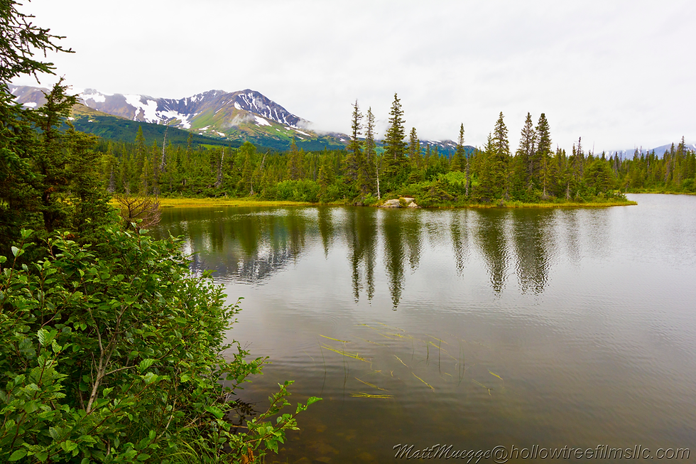 Landscape-2