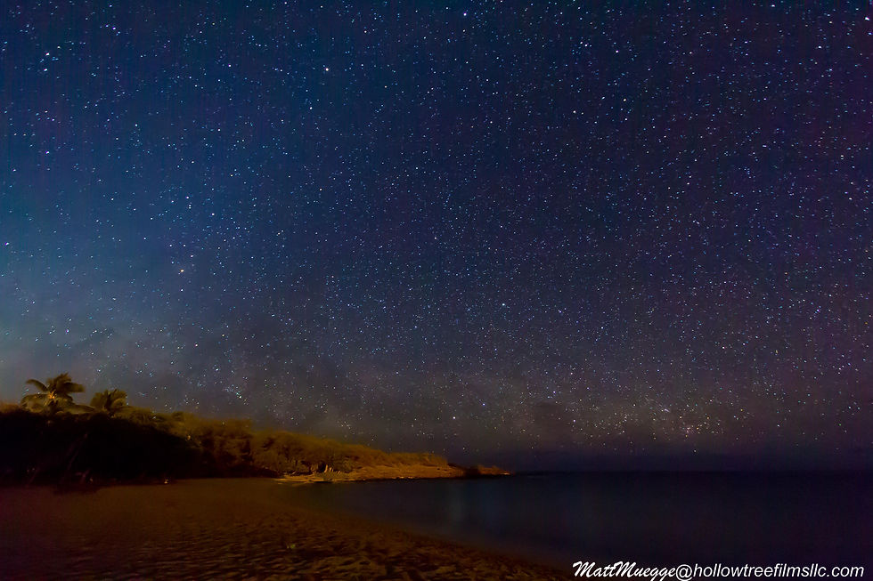 Night and Twilight-16