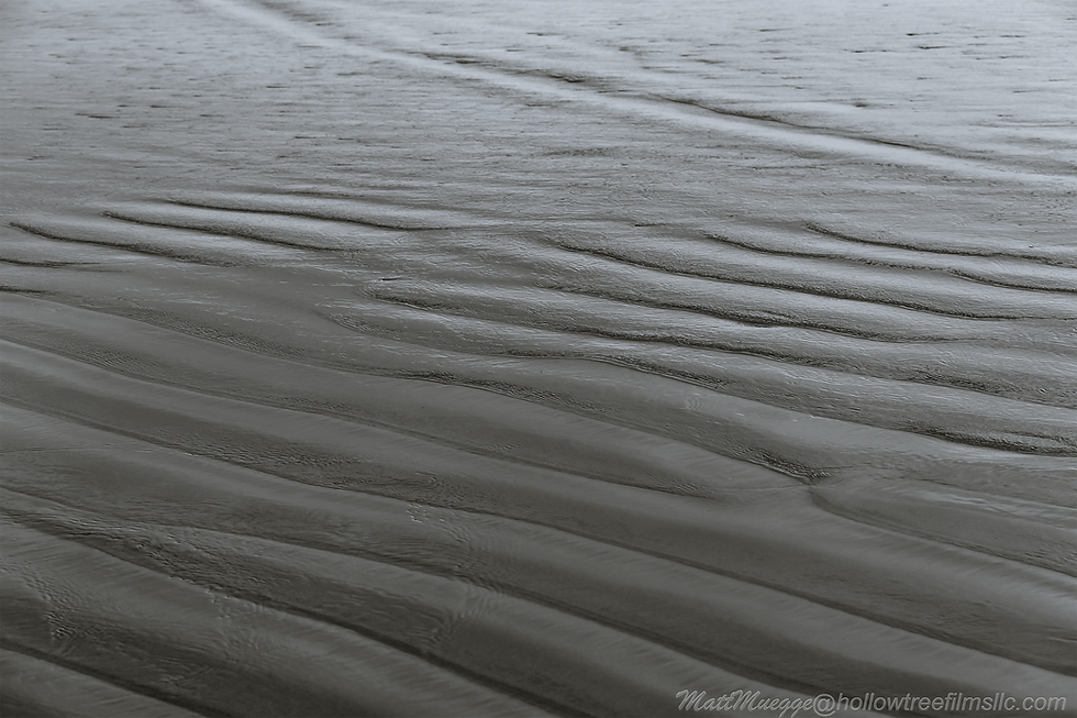 CH6A6836-Edit
