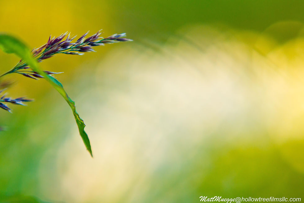 _MG_0159-1 Remastered 2