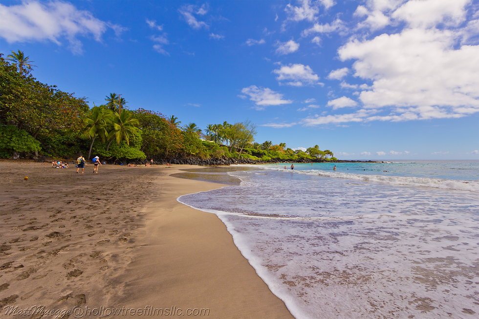 MAUI-17