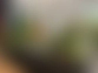 Show: Snowdrop & Plant Fair, Yattendon, 18 January 2026