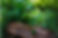 Untitled design (1)_edited.jpg