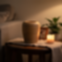 images_c61a5c03-a5f3-4d52-97ee-3c2357d0d203_ba001066-a0b5-4b10-891a-a2feced6c0fb_OUTPUT-ba