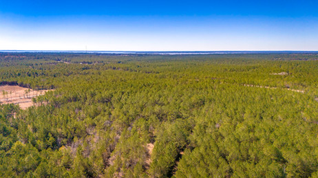 166-web-or-mls-MCR Phase 4 Lot 3-12