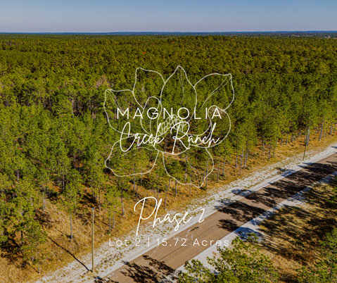 Magnolia Creek Ranch in Onalaska, Texas