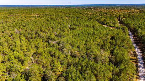 Magnolia Creek Ranch in Onalaska, Texas