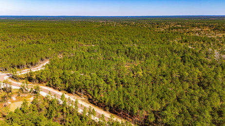 Magnolia Creek Ranch in Onalaska, Texas