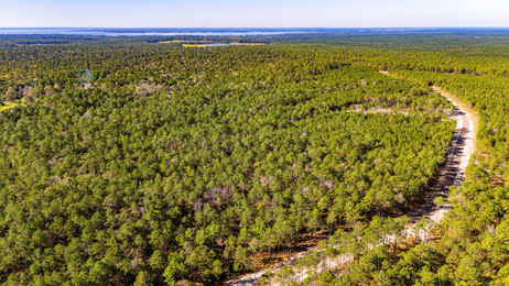 Magnolia Creek Ranch in Onalaska, Texas