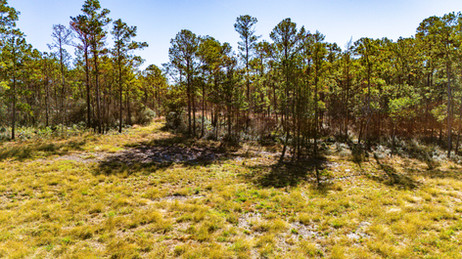 Magnolia Creek Ranch in Onalaska, Texas