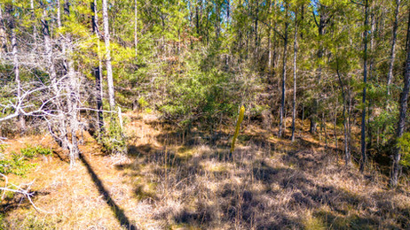 198-web-or-mls-MCR Phase 4 Lot 1-11