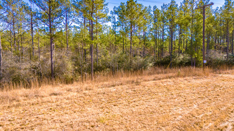 200-web-or-mls-MCR Phase 4 Lot 1-13