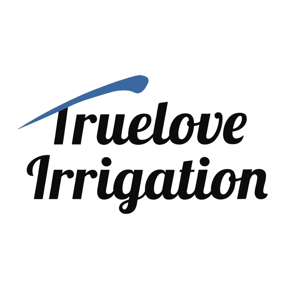 Your paragraph text (3).png