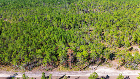 Magnolia Creek Ranch Texas Land For Sale