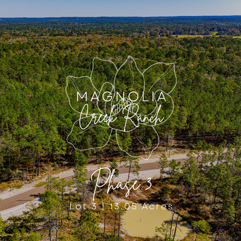 Magnolia Creek Ranch in Onalaska, Texas