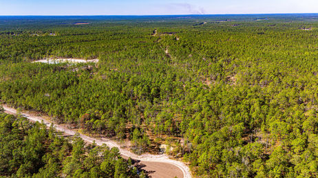 Magnolia Creek Ranch Texas Land For Sale