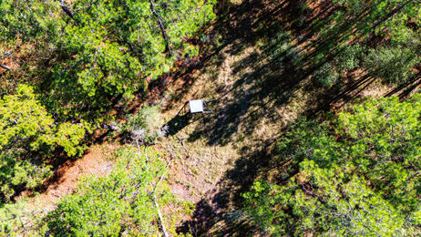 Magnolia Creek Ranch Texas Land For Sale