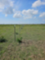 Site development contractor performing infrastructure improvements for energy industry client