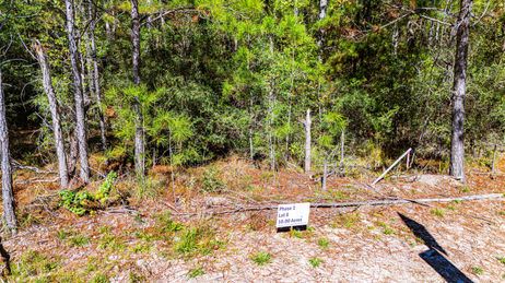 Magnolia Creek Ranch in Onalaska, Texas