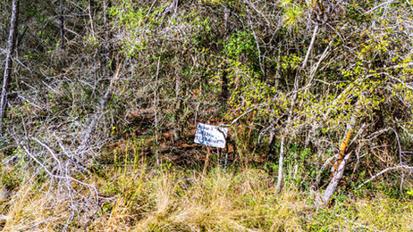 Magnolia Creek Ranch Texas Land For Sale