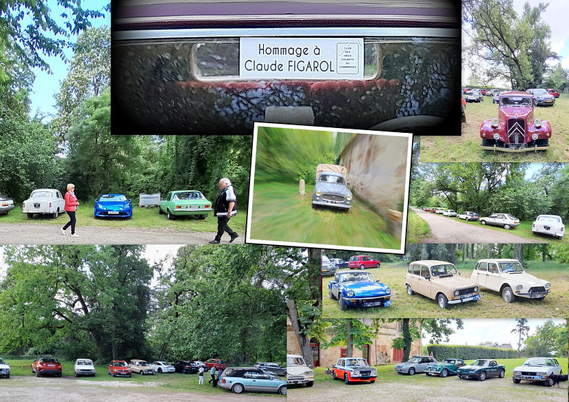 TOP COLLAGE.jpg