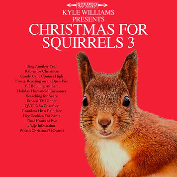 c4s3cover_Official copy_bandcamp.jpeg