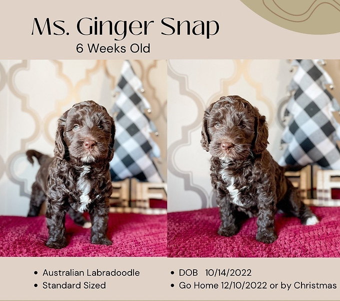 1D3FDA0C-E7DE-4E5D-9EA8-E9BD6020843E_edi