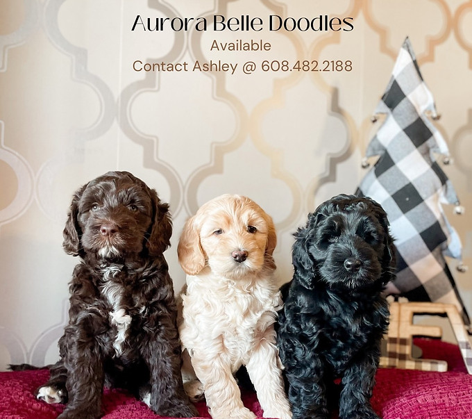 BDC8579D-DDEA-4FB6-B62D-8B917922637E (1)