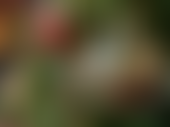 Enchant Your Holidays with Handcrafted Magickal Solstice Tree Ornaments