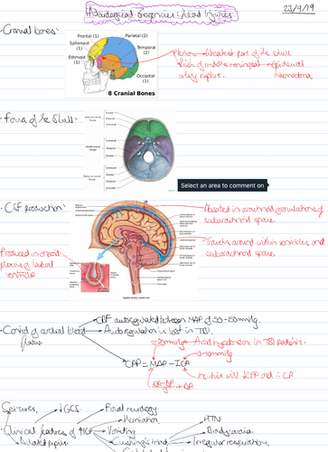 Medicine Year 3 Notes - Trauma & Accidents Module Only | Kenji Tomita