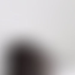 毎日継続している事。
