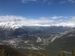 60384842_355093385362548_500701984801056