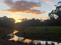 96115504_596859764519241_716944495708890