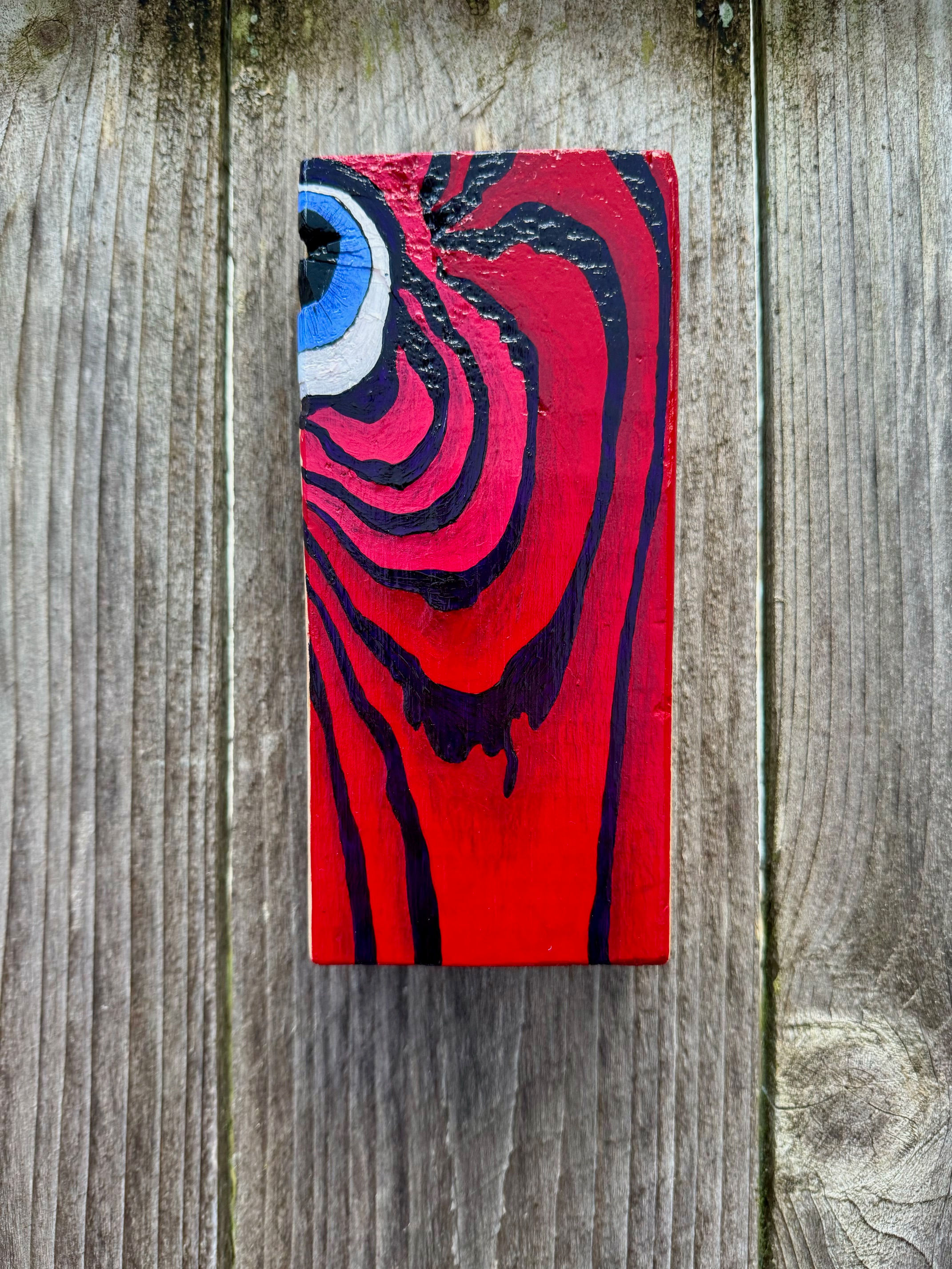 Acrylic painting on a piece of leftover lumber of the eye of a red fish like creature