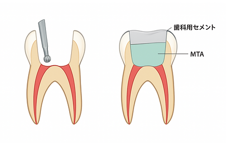 スクリーンショット 2025-08-09 15.33.41.png