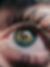 pexels-md-mamun-1019578-1997393 (1).jpg