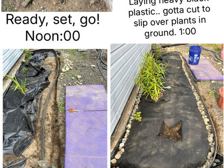 Another Garden Bed Ready