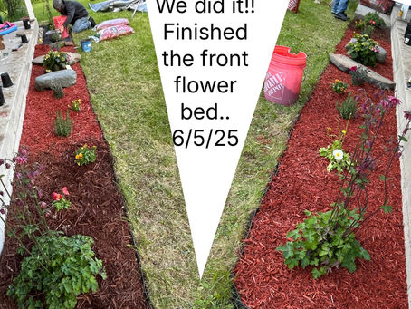 Pretty flower bed