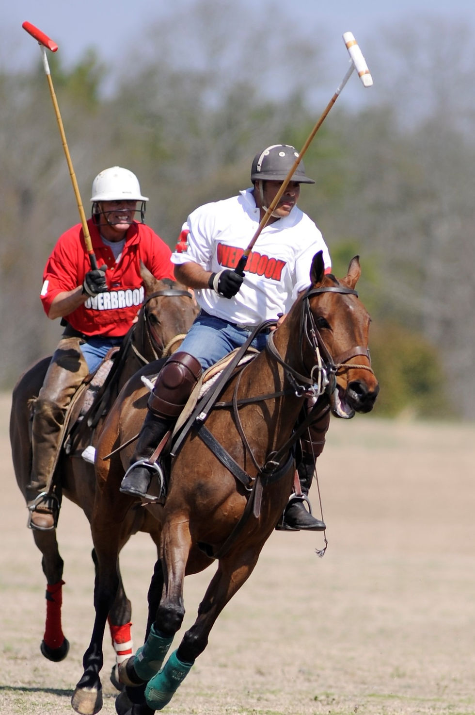 _GK39061+%282%29_edited