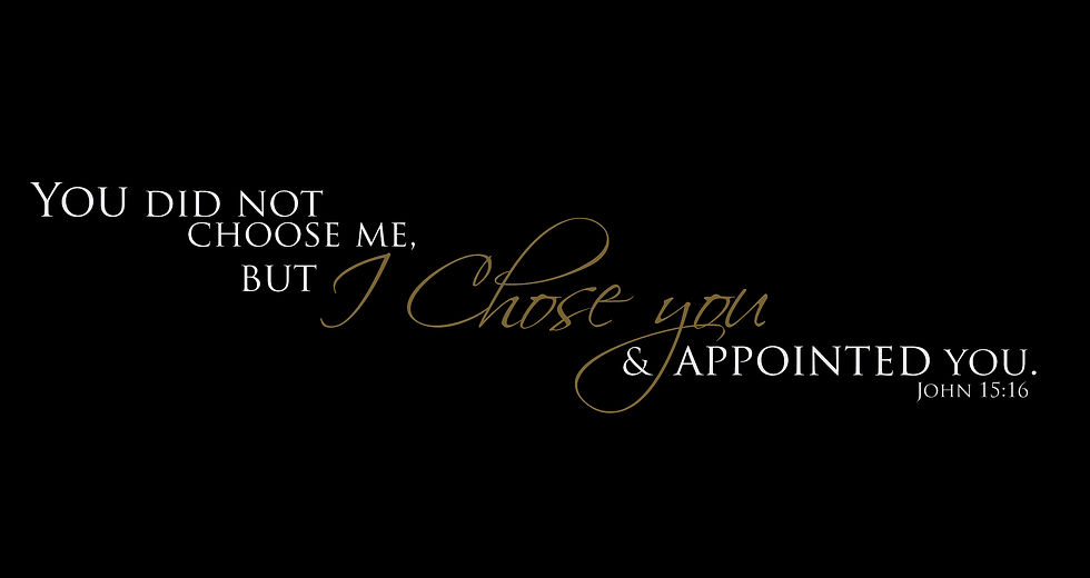 Thumbnail: John 15:16 (dark wall)