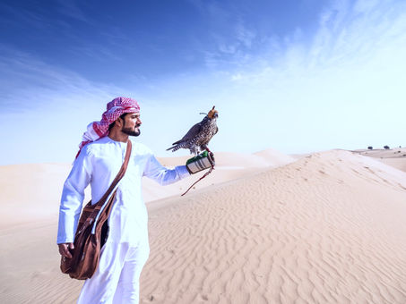 Exploring the Elite World of Falcon Breeding: Insights from the Falcons of Arabia Club.