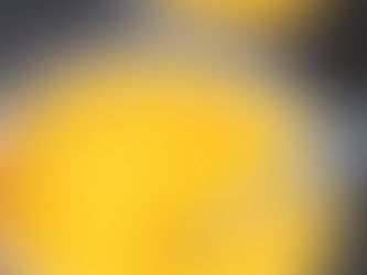 Jednoduchý meruňkový sorbet ze 3 ingrediencí