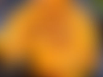 Lasagne z jedné pánve