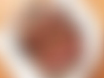 Borůvkovo-malinová roláda