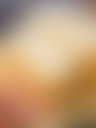 Mrkvové řezy na plech s luxusním krémem