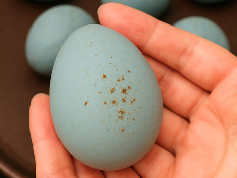 Jednoduché velikonoční sušenky ve tvaru vejce 