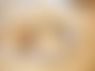 Nepečené proteinové tyčinky