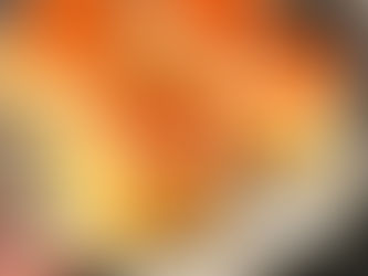 Luxusní meruňkový koláč s tvarohovou náplní