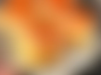 Luxusní meruňkový koláč s tvarohovou náplní
