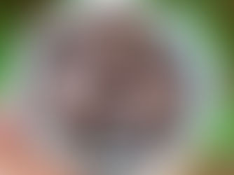 Domácí oreo zmrzlina z cottage sýra